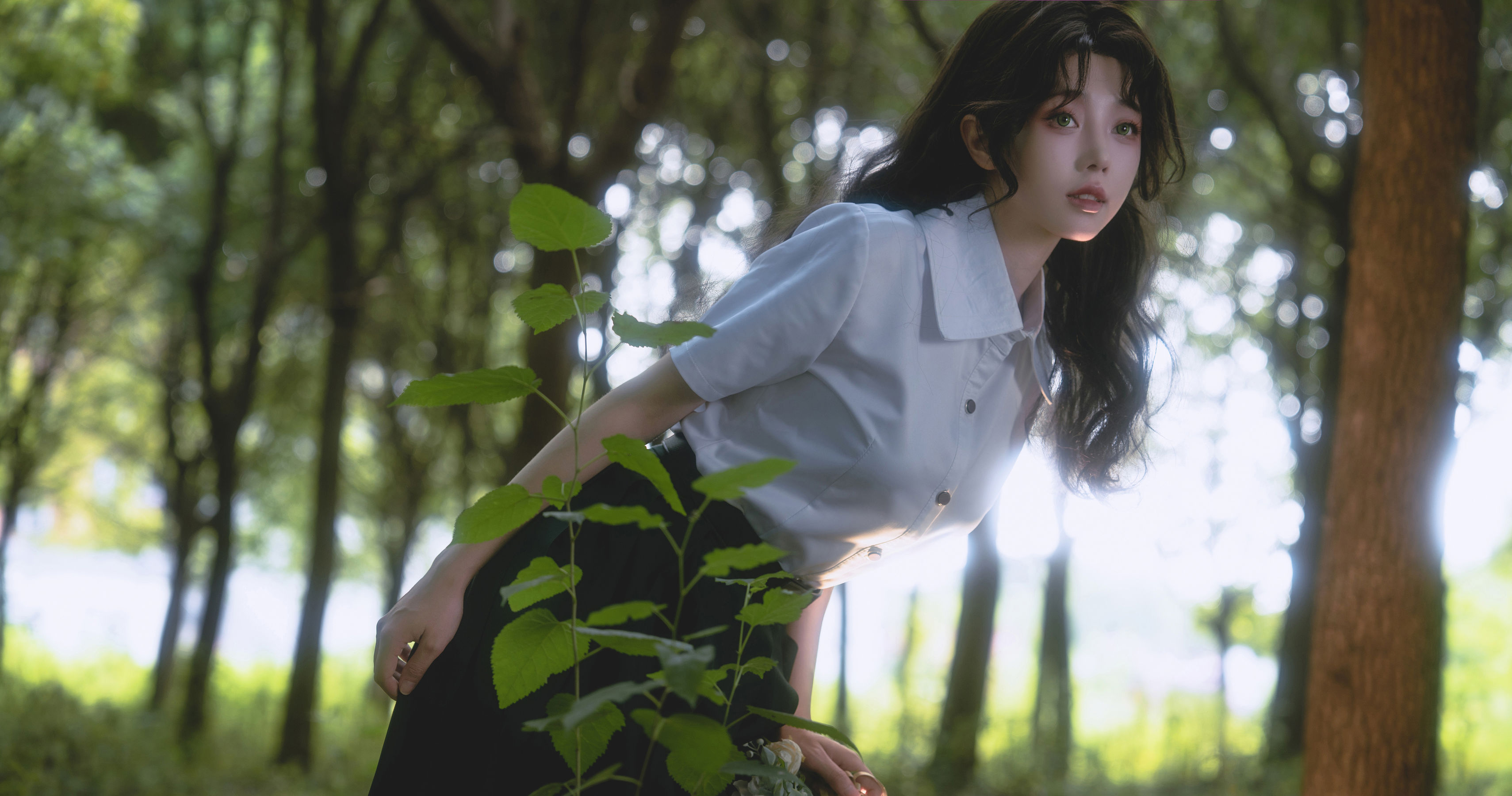 走路摇zly - 森林精灵