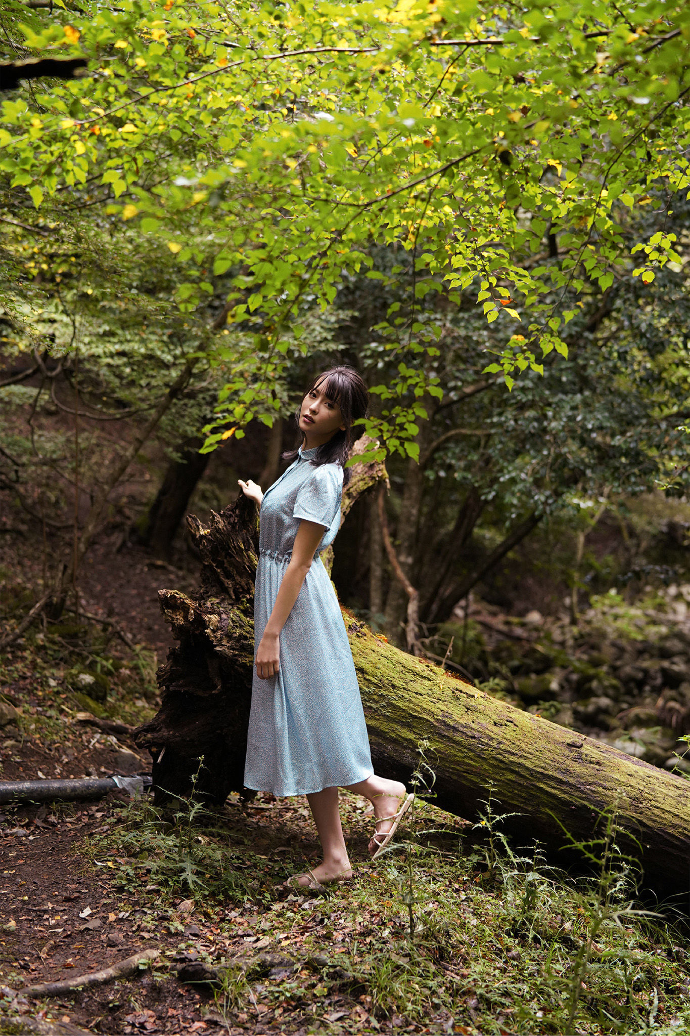 奈月セナ - たまゆらA