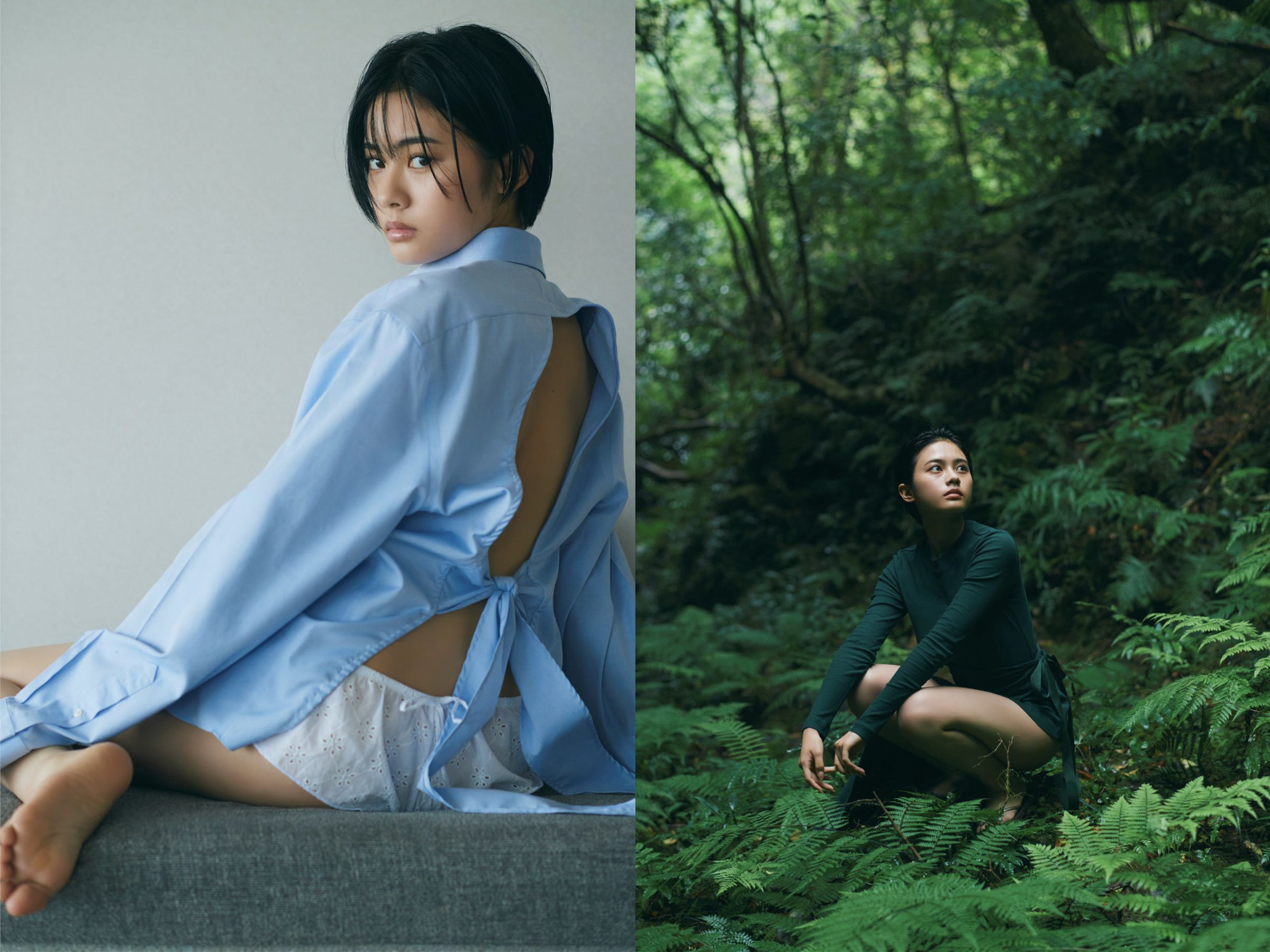 安斉星来 - Sirius