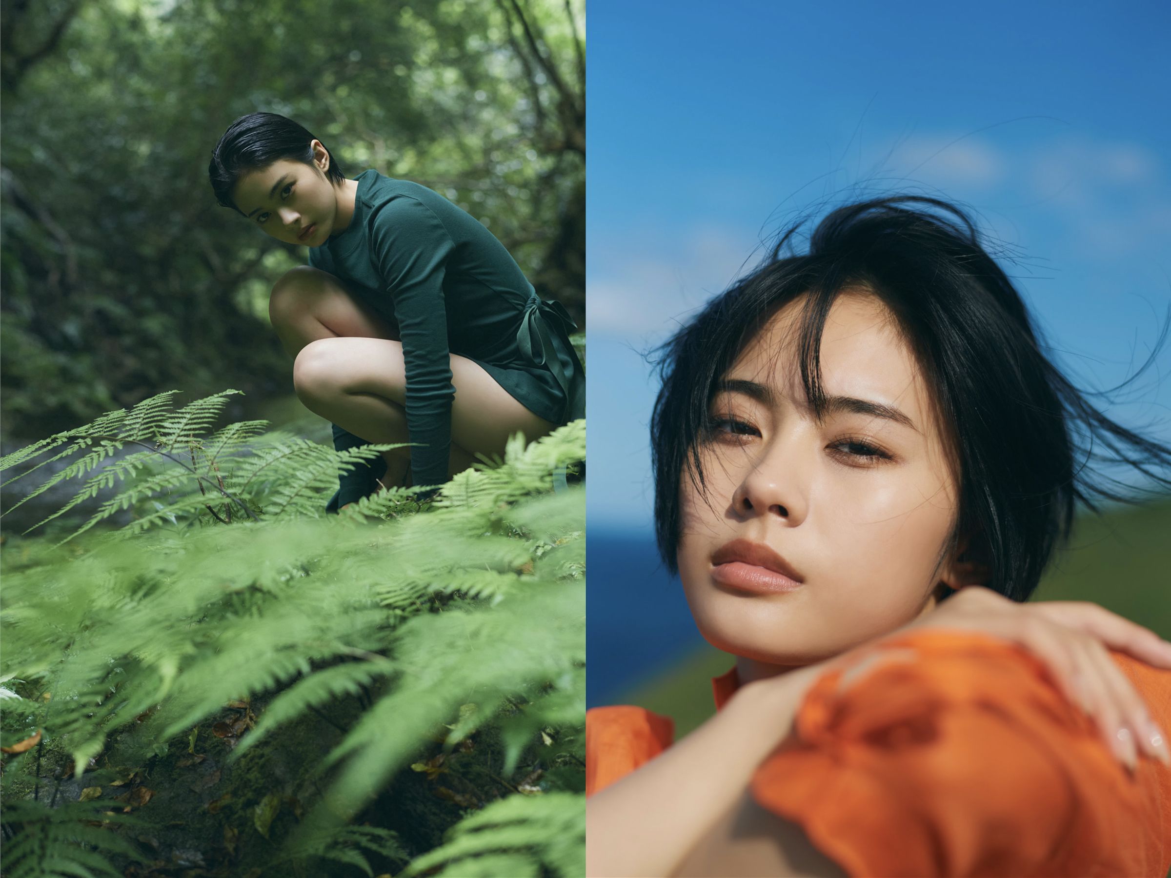 安斉星来 - Sirius