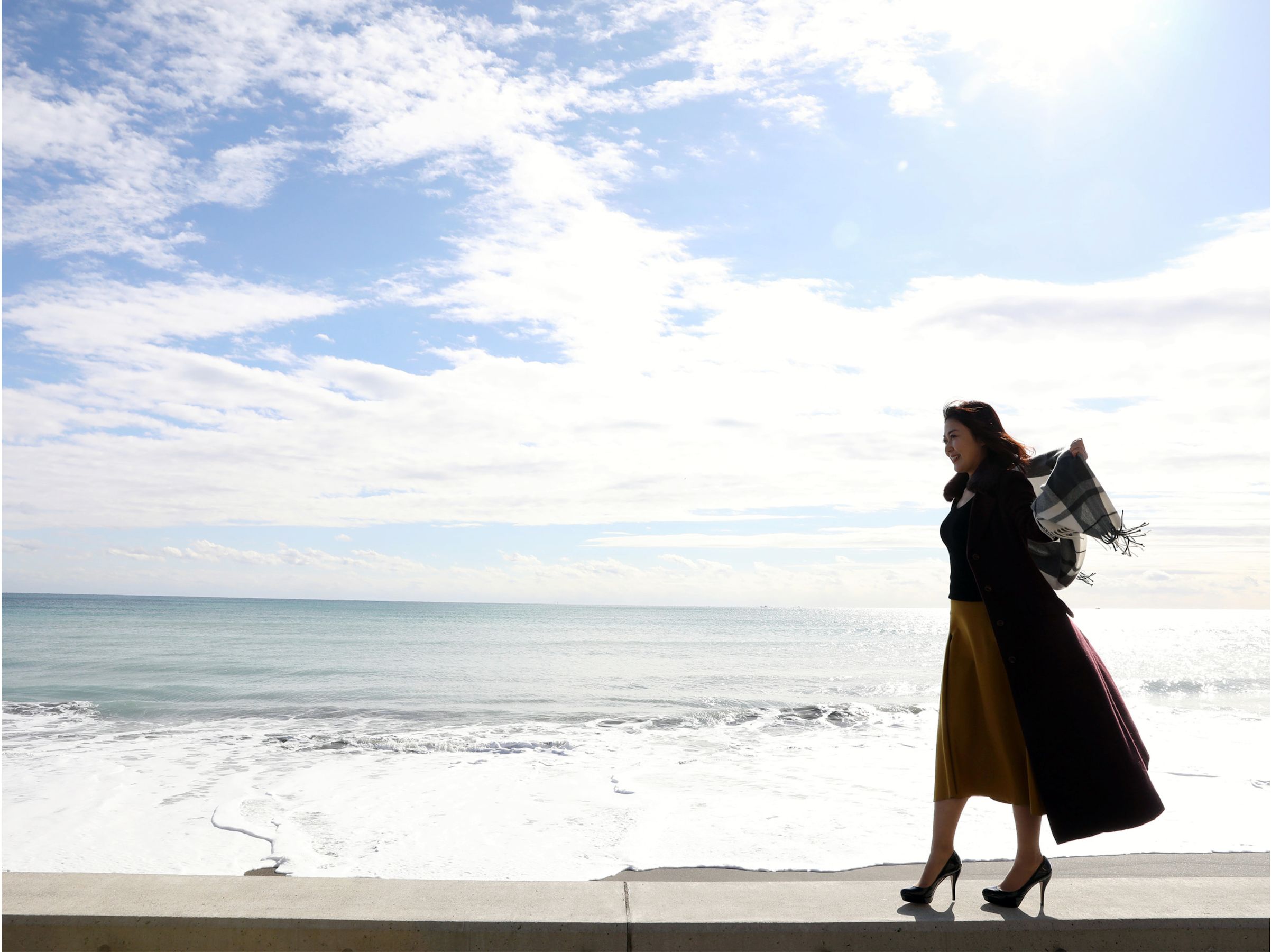 花崎阿弓 - 現役美女アナの初裸身