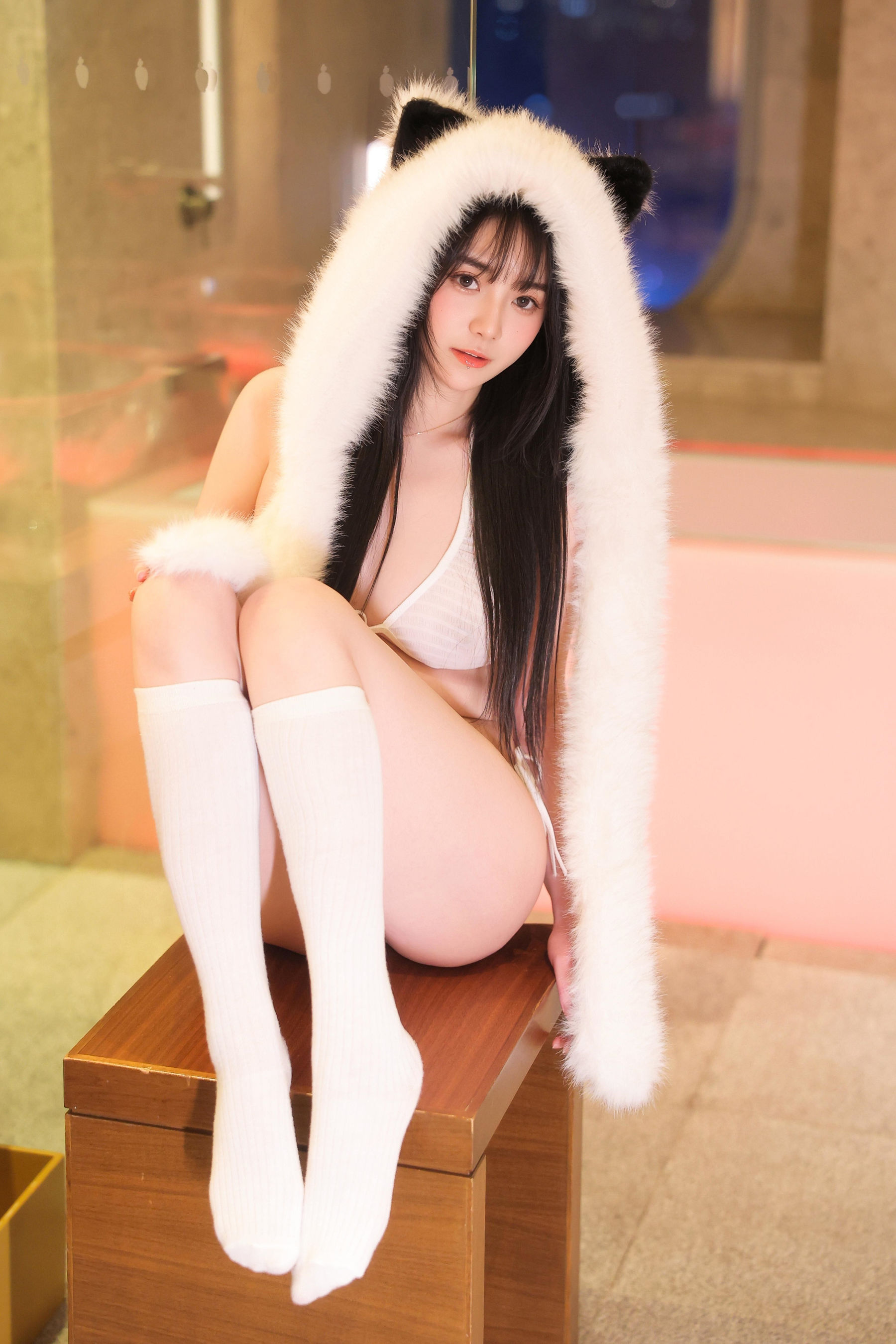 软情 - 白色小猫咪