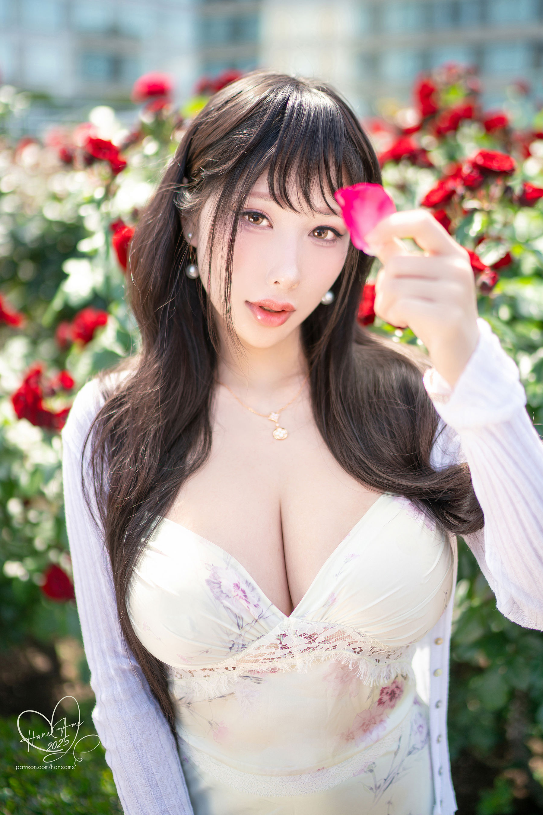 Hane Ame 雨波 写真 - 玫瑰刚好绽放