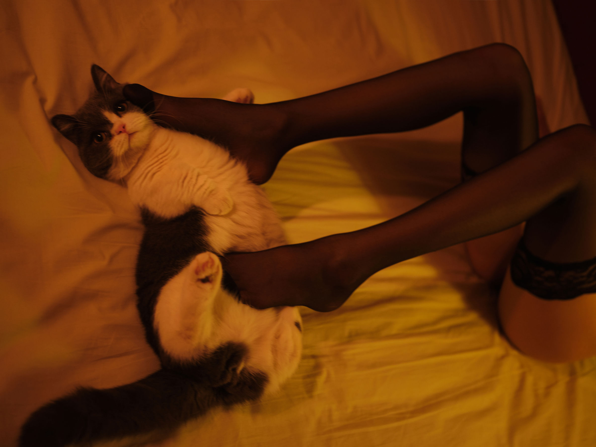 一米八的大梨子 - 复活黑