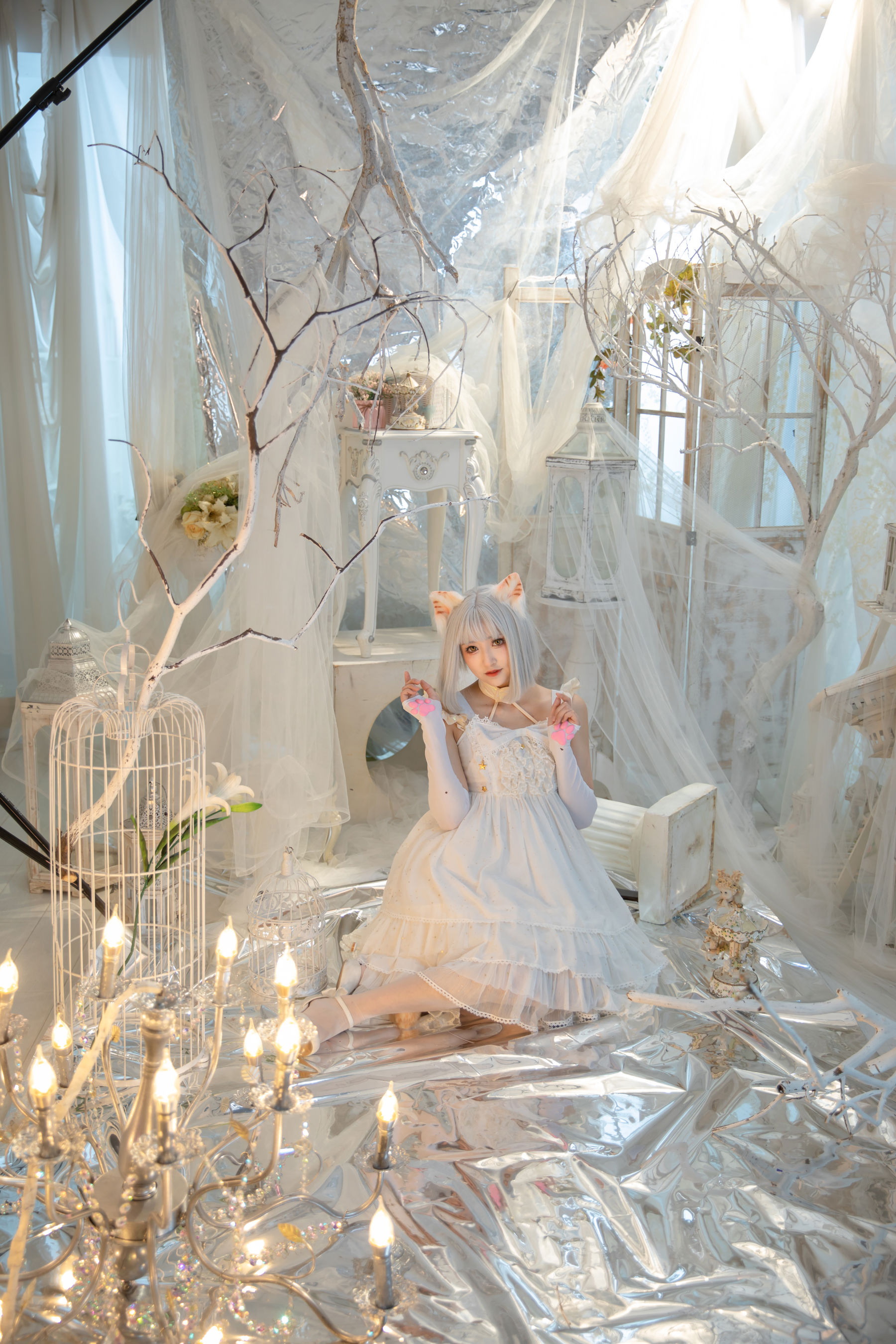 冬马路纱 - 猫猫拳