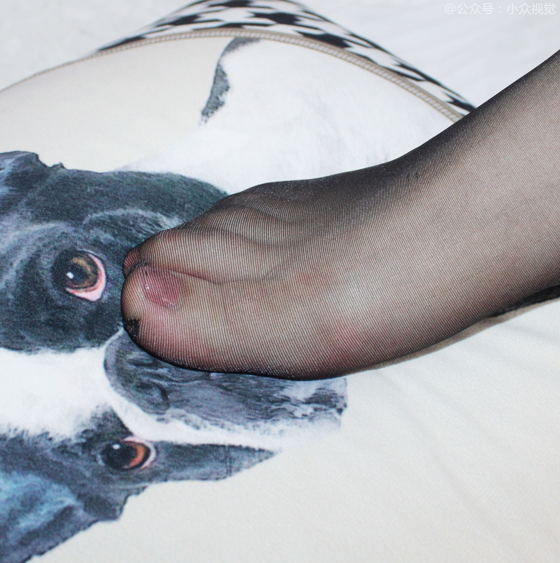 小众视觉 No.0006 嘤嘤