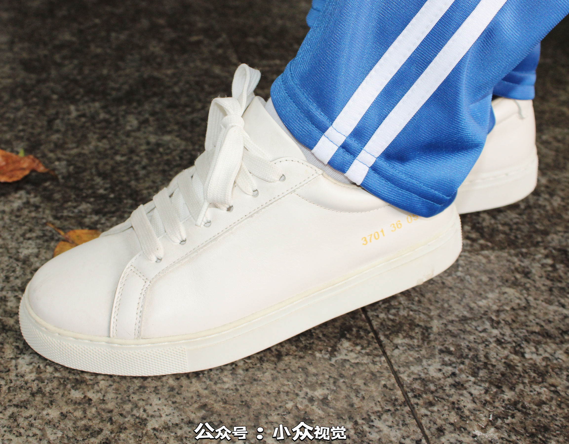 小众视觉 NO.0013 小薯条